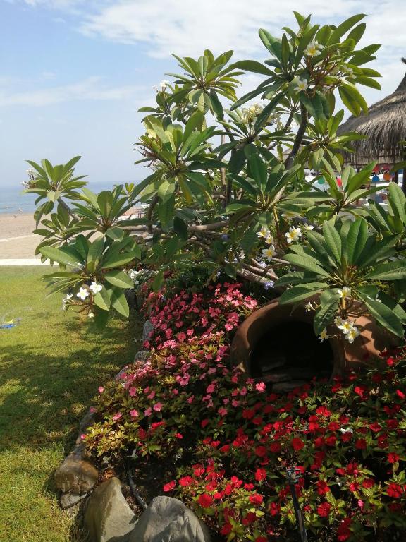 Fotografia z galérie ubytovania Apartamento Carihuela Playa v destinácii Torremolinos