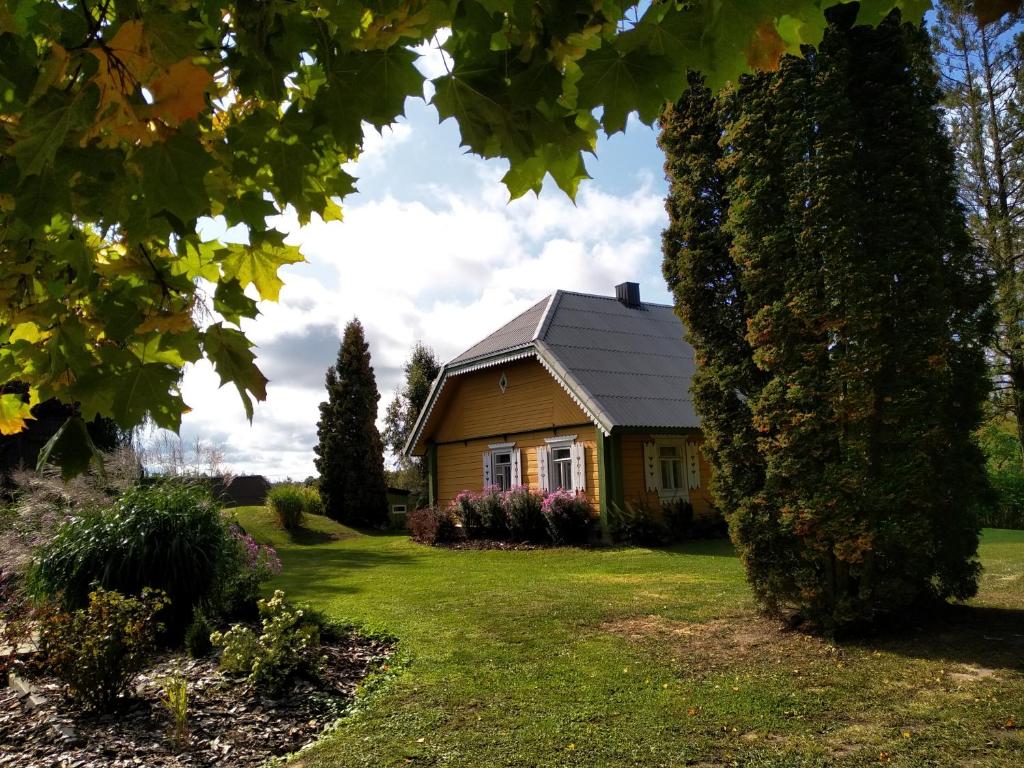 a house in a yard with a tree at Kačiūniškių vienkiemis in Kaciūniškiai