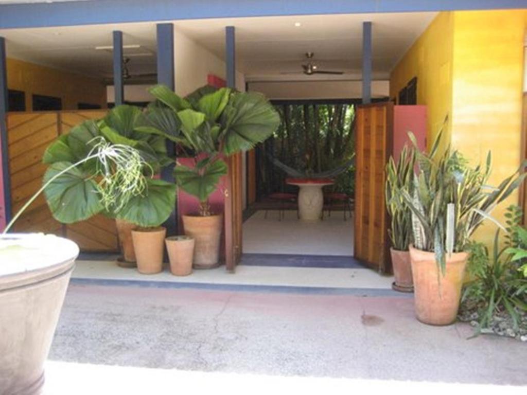 Fotografie z fotogalerie ubytování Pink Flamingo Resort v destinaci Port Douglas