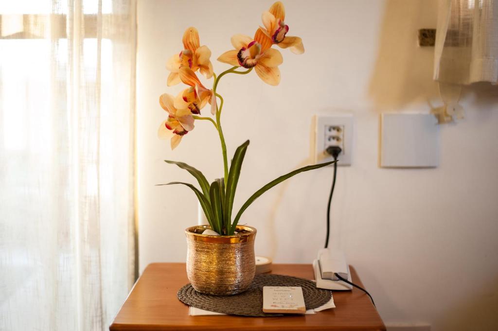  Cumbuco Dream Village