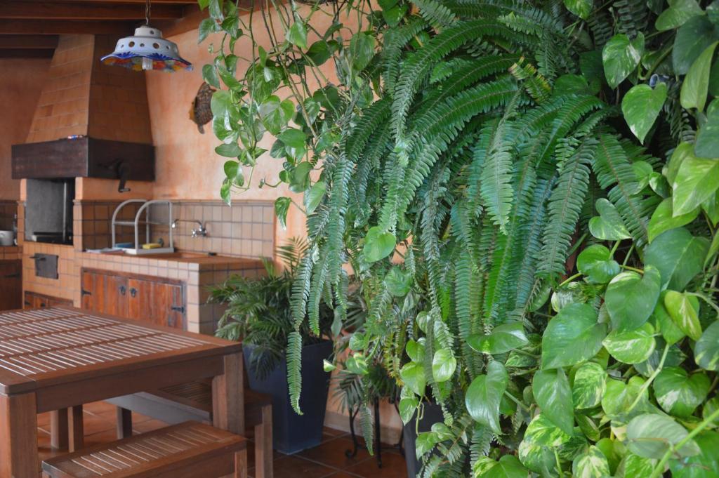 Fotografie z fotogalerie ubytování Terraza del Atlántico v destinaci Playa de Santiago