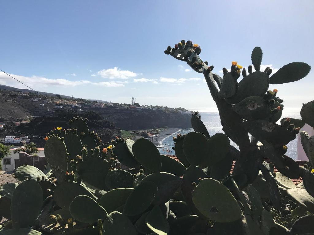 Fotografie z fotogalerie ubytování Terraza del Atlántico v destinaci Playa de Santiago