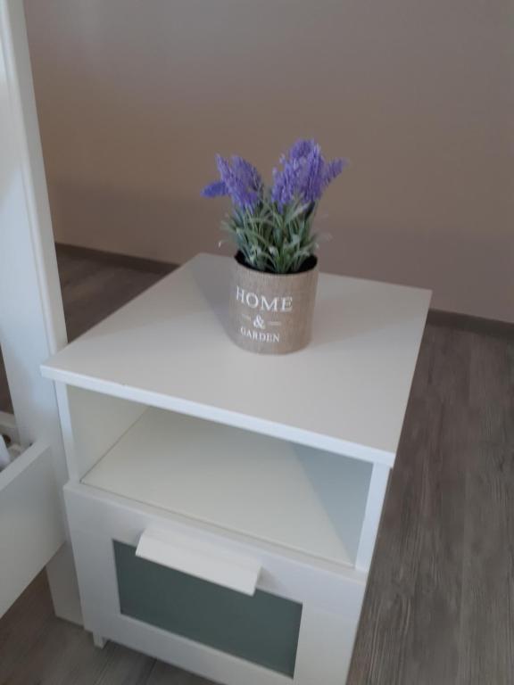 Fotografie z fotogalerie ubytování Top Style Villa v destinaci Bragadiru