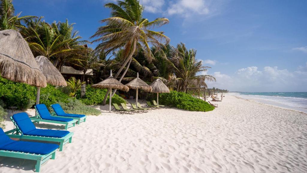 a beach with blue chairs and umbrellas and the ocean at Beautiful house on beach zone Tulum in Tulum