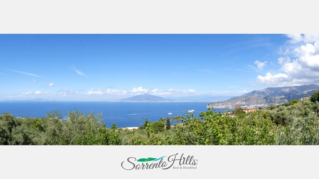 uma vista para o oceano a partir das colinas de uma cidade em Sorrento Hills em Sorrento
