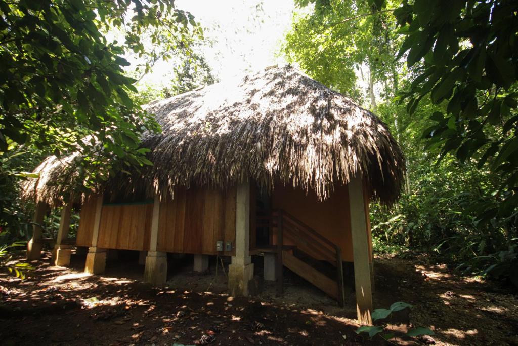 Fotografie z fotogalerie ubytování Topche, Centro Ecoturístico v destinaci Lacanjá