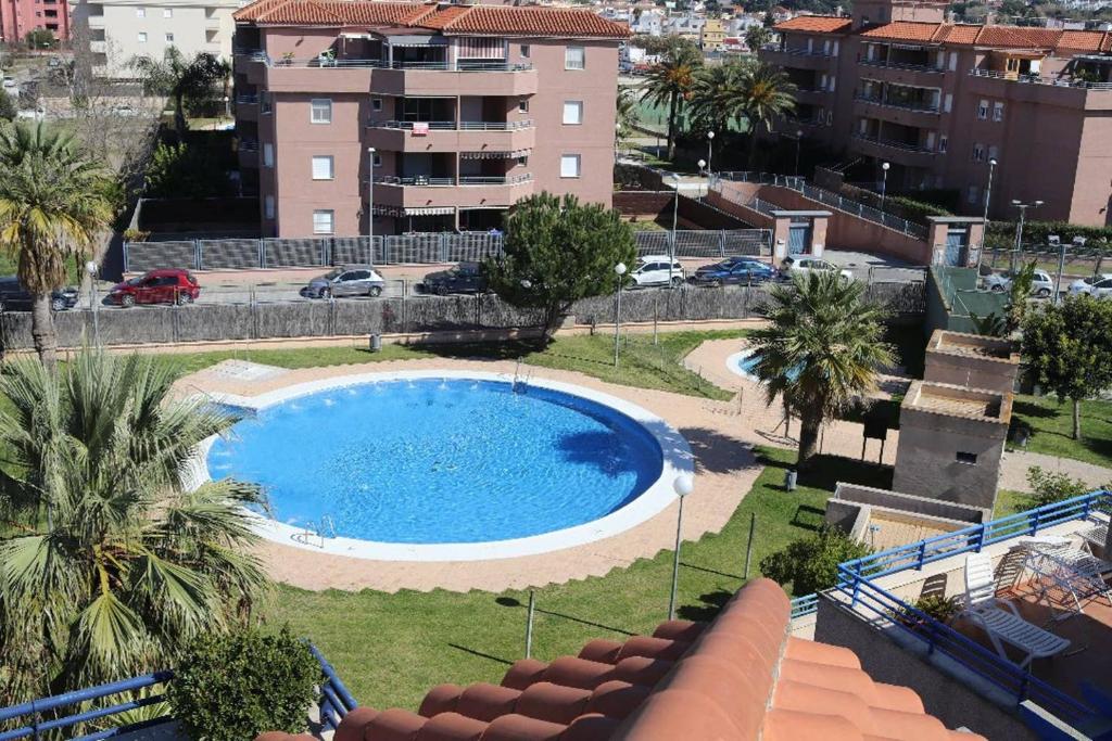 una piscina en un patio con palmeras y edificios en Apartamento acogedor en lugar inmejorable, en Sanlúcar de Barrameda