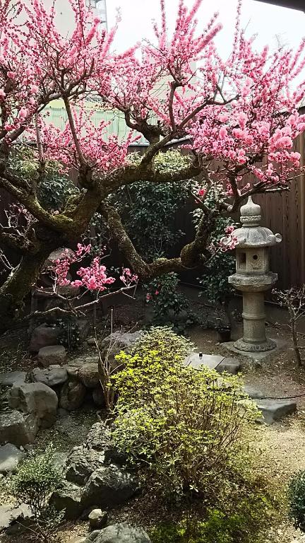 Zahrada ubytování 阿美弥 一日一組様限定