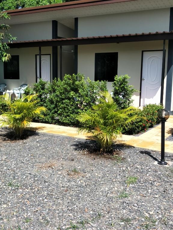 a row of plants in front of a building at Airee Mini House in Bang Tao Beach