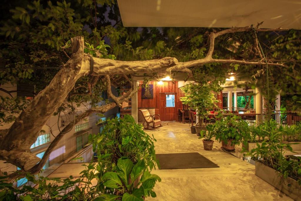 SugarCane Chiang Mai - Resim 37