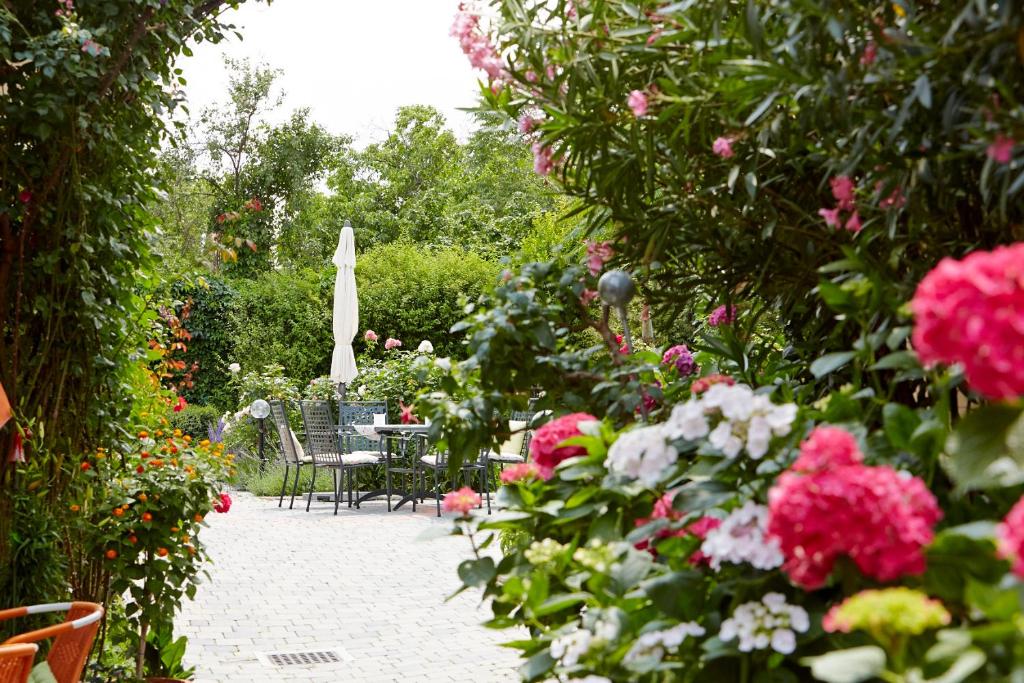 Zahrada ubytování Weingut Sommerhof