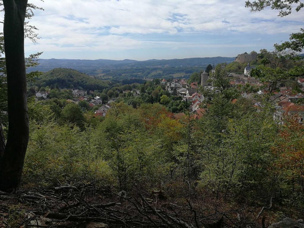 Blick auf eine Stadt von einem Hügel mit Bäumen in der Unterkunft Ferienwohnung Burg Lindenfels in Lindenfels