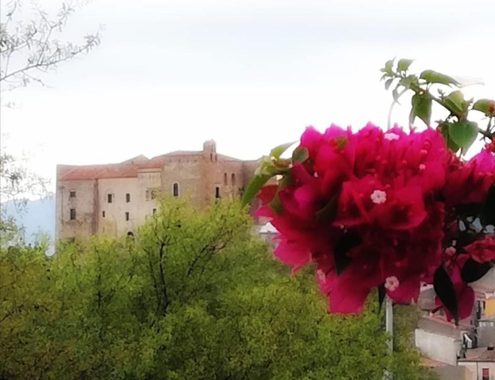 una flor rosa con un edificio en el fondo en Ypsibloom, en Castelbuono