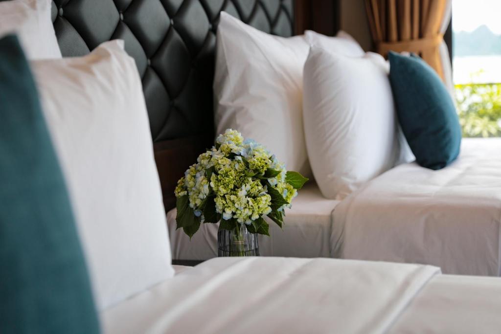 La Pandora Cruises - 16