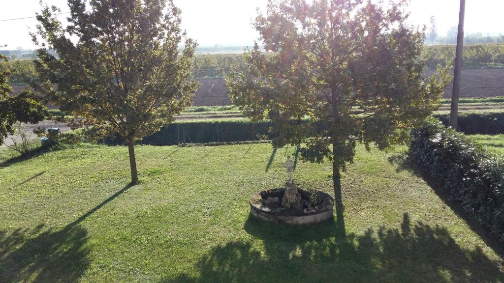 Zahrada ubytování B&B Le Ripe