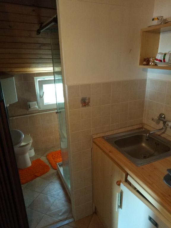 Kúpeľňa v ubytovaní Karos Centrál Apartmanház