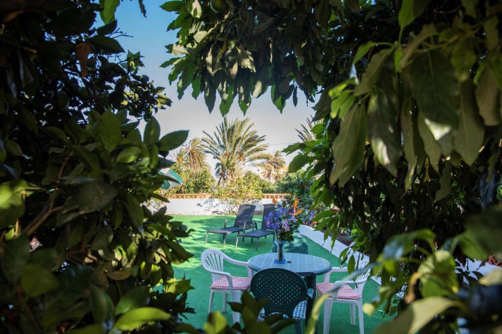 Zahrada ubytování Villa Clara