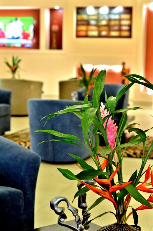TV a/nebo společenská místnost v ubytování The Cape Hotel
