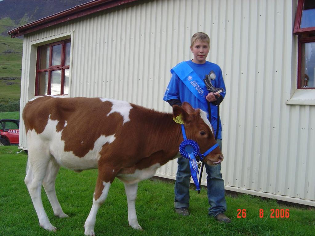 Zvířata v farmy nebo okolí