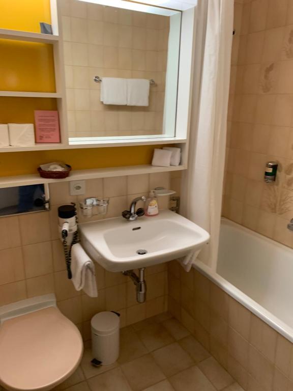 Bagno di Hotel des Alpes