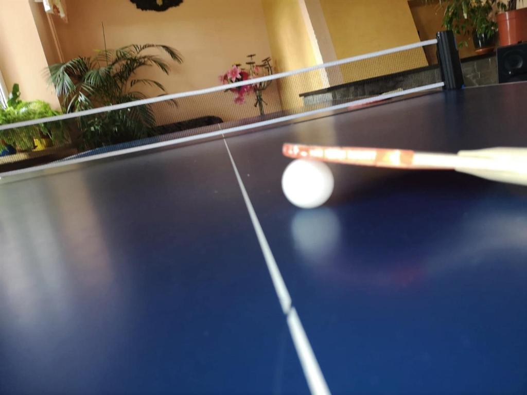 Tenis a/nebo squash v ubytování Ośrodek Wypoczynkowy Baśka nebo okolí