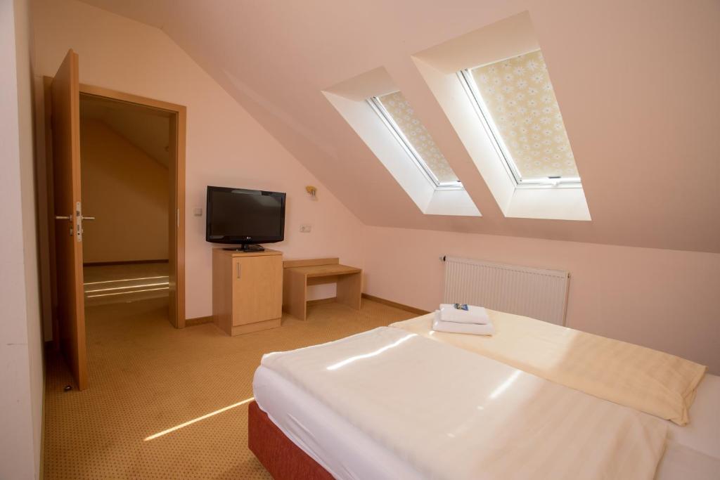 a bedroom with a bed and a tv and a window at Landhaus & Landhof Gabriel in Bülstringen