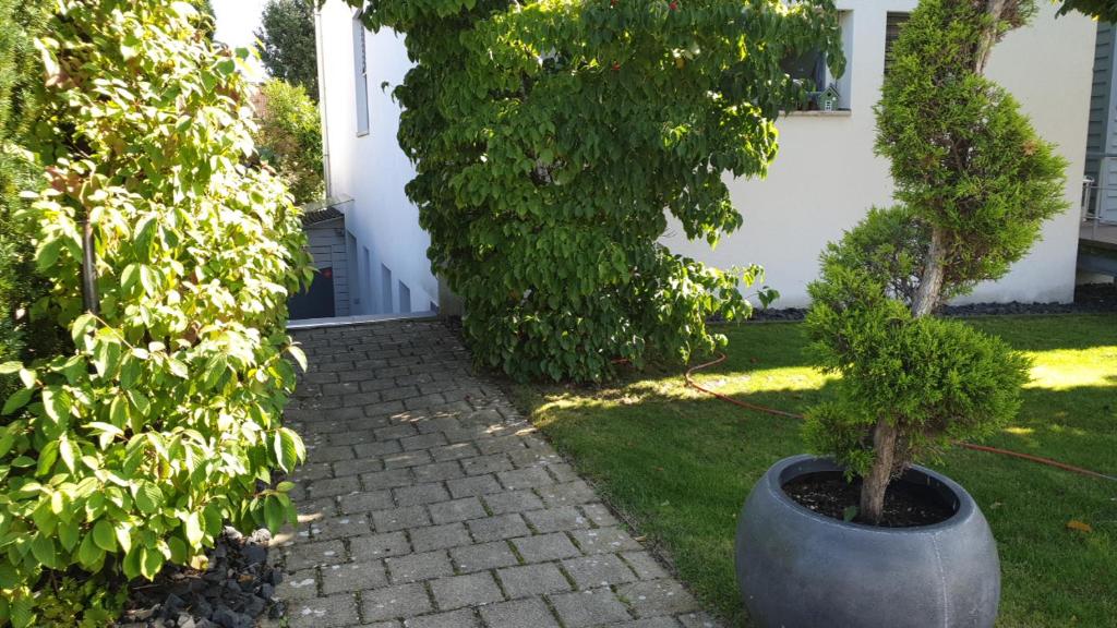 Zahrada ubytování Ferienwohnung Schwartz