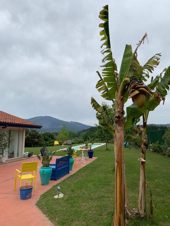 una palmera sentada junto a un patio con sillas en Habitación en la naturaleza 1, en Igartua