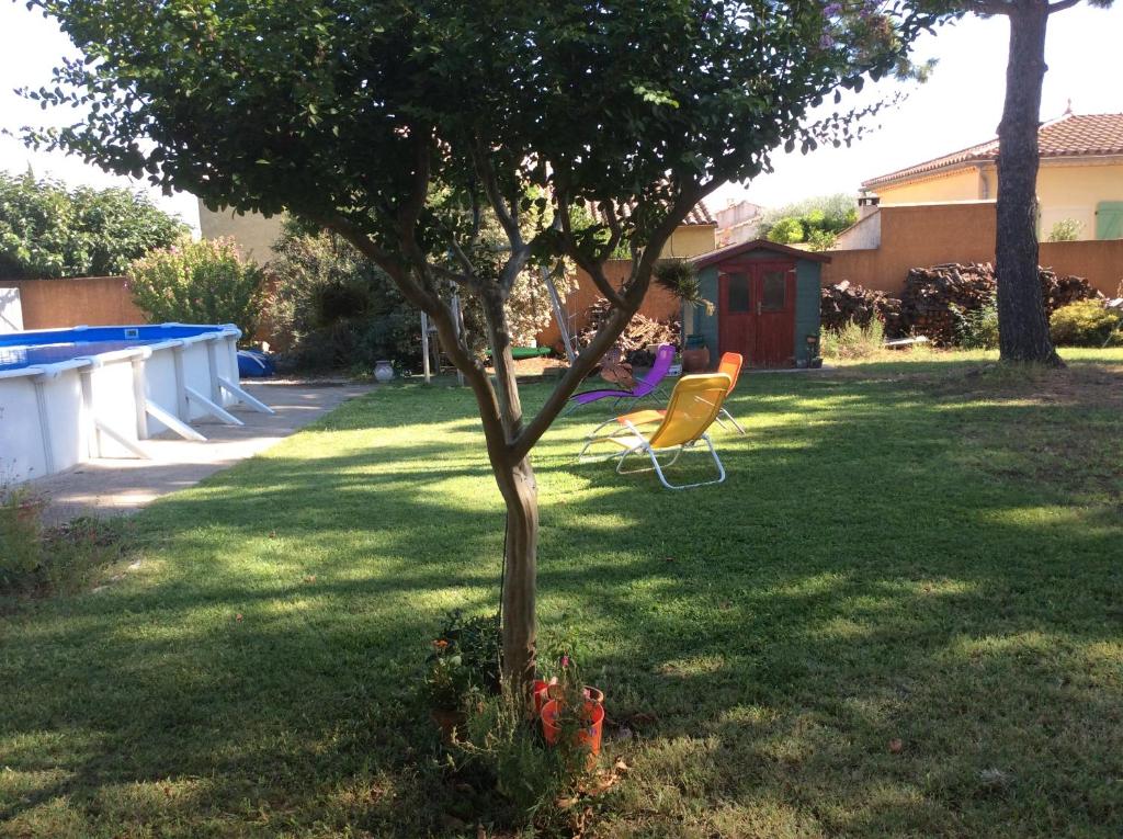 a tree and a chair in a yard at Entre mer et lac Salagou in Saint-André-de-Sangonis