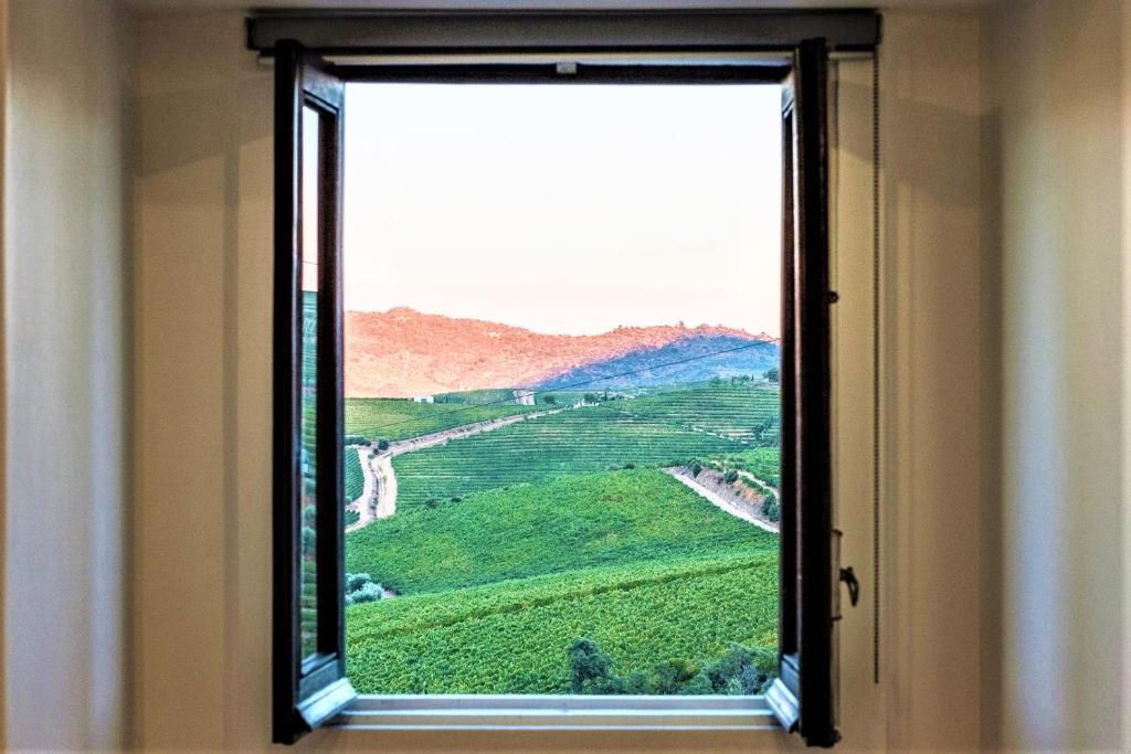 une fenêtre avec vue sur un champ verdoyant dans l'établissement BABhouse Casa das Abelhas - Coração do Douro, à São João da Pesqueira