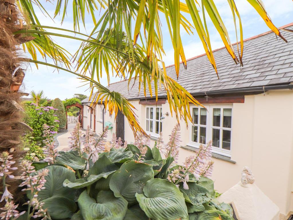 a garden of plants in front of a house at Meadowview Cottage in Launceston