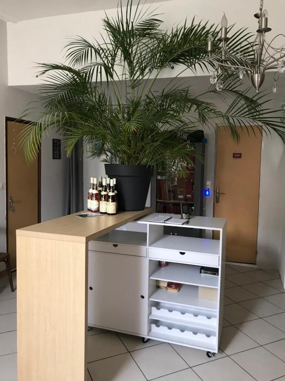 uma cozinha com uma ilha com um vaso de plantas em chez la Berthe Colmé em Toul