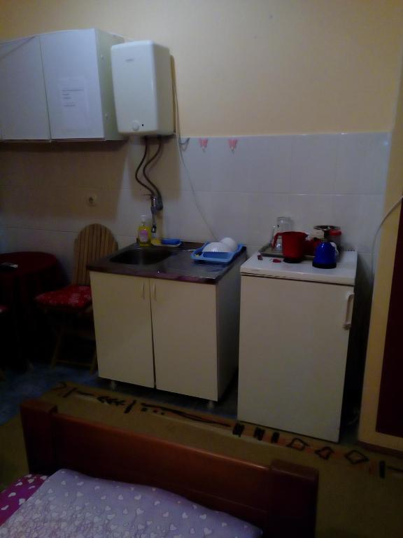 Kuchyň nebo kuchyňský kout v ubytování Guest house Mirijevski Konak