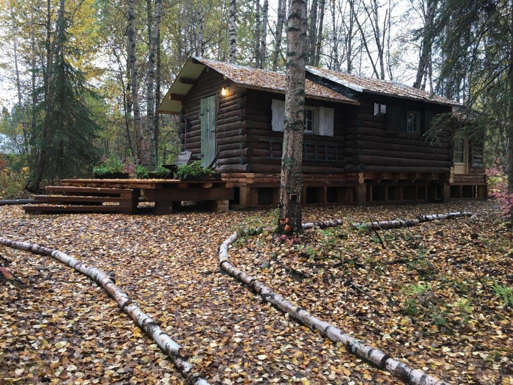 Talkeetna Gardens, Cabins & Cottages - 一卧室房屋