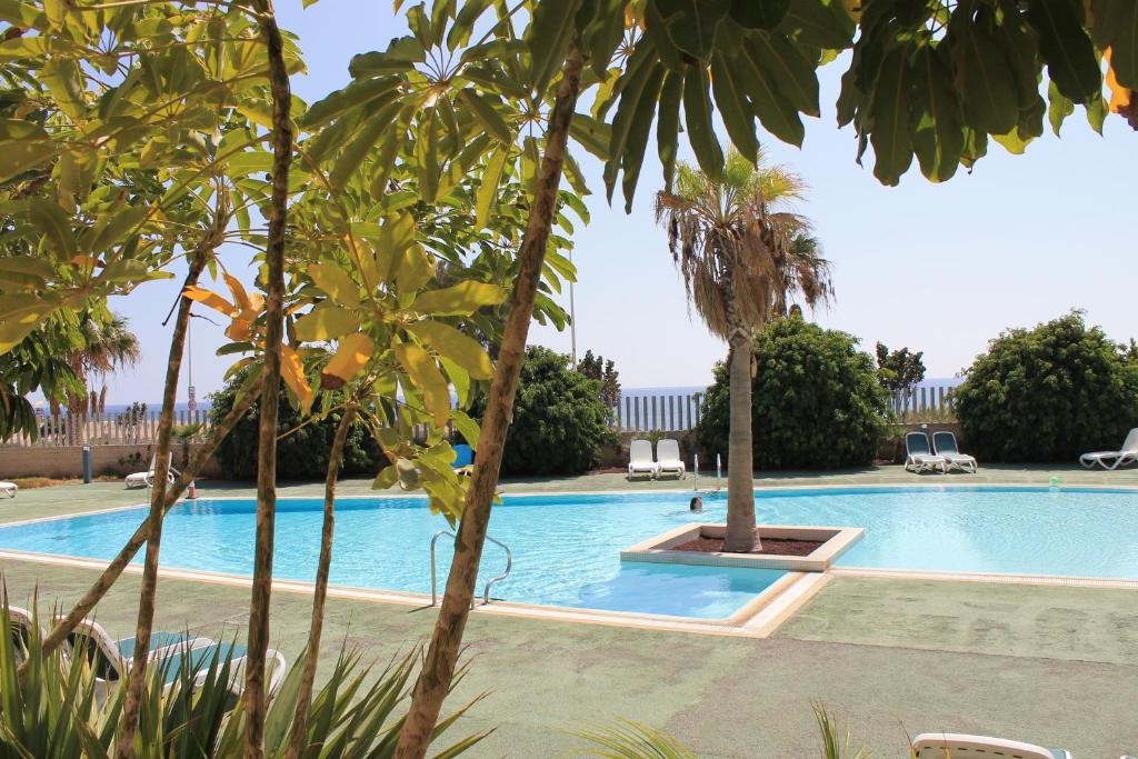 a swimming pool with palm trees in the foreground at Alquilaencanarias-Medano Los Martines beachfront A in El Médano