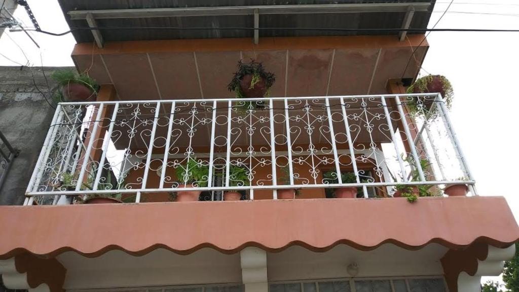 莫约加尔帕Casa Krisdalia的建筑里种植了盆栽植物的阳台