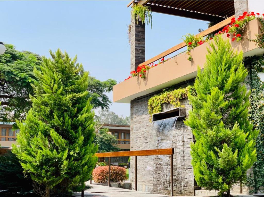 Zahrada ubytování Hotel Campo & Leña