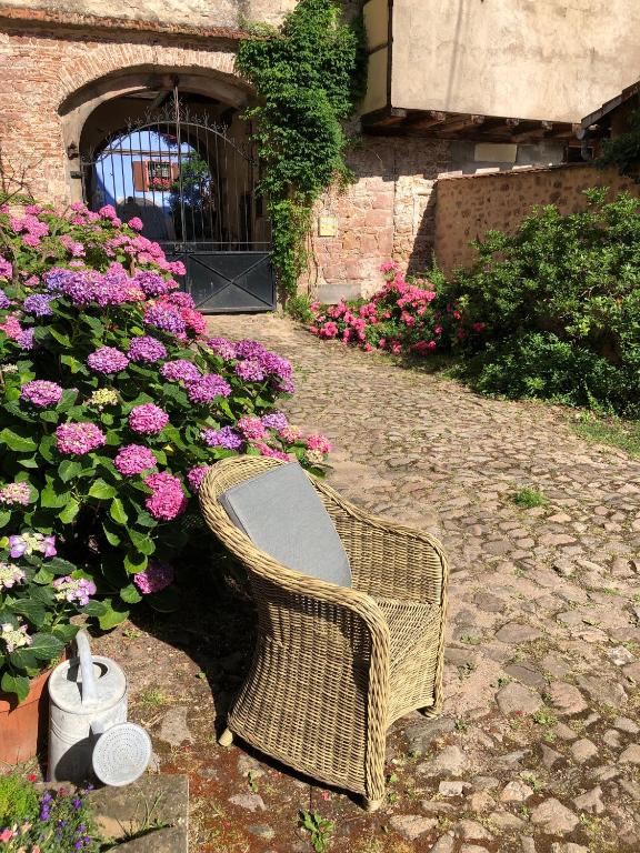 Les Hortensias – photo 12