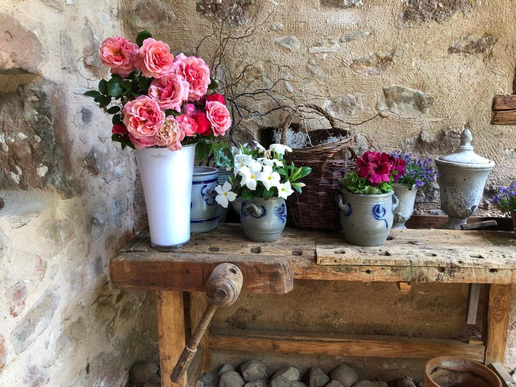Les Hortensias – photo 10
