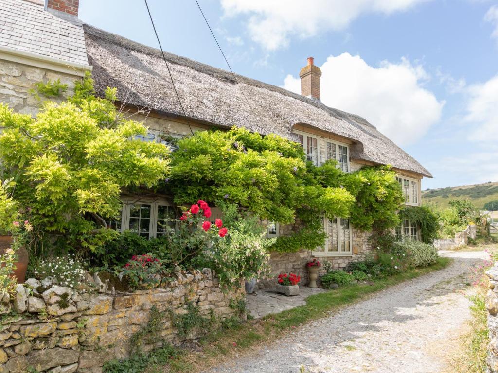 Дорсет Англия River Cottage