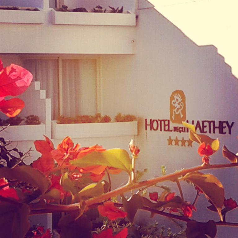 Certifikát, hodnocení, plakát nebo jiný dokument vystavený v ubytování Hotel Degli Haethey