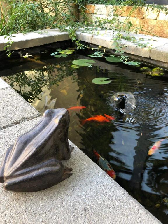 Margaréta Garden & SPA - Resim 39