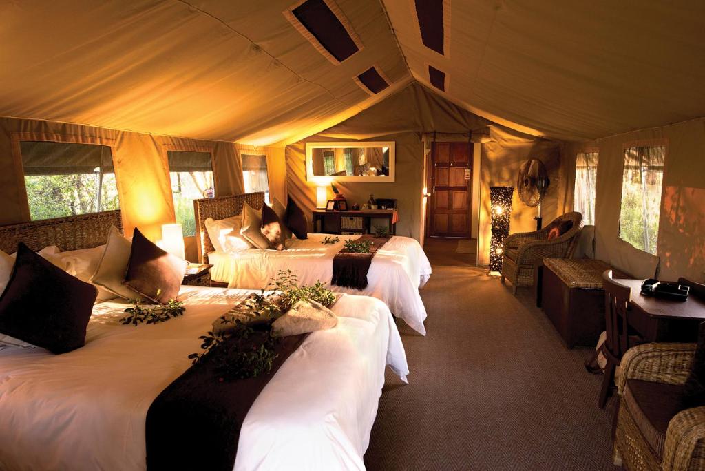 Tembe Elephant Park Lodge, Sihangwane – Aktualisierte Preise für 2023