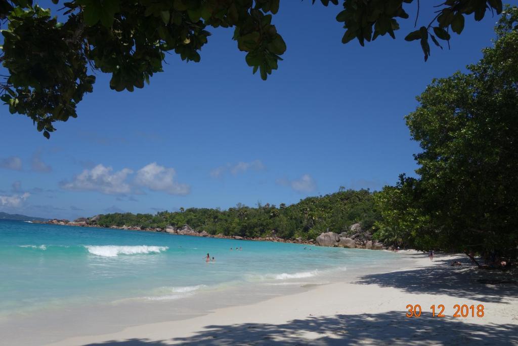 a view of a beach with people in the water at Forest Lodge in Bel Ombre