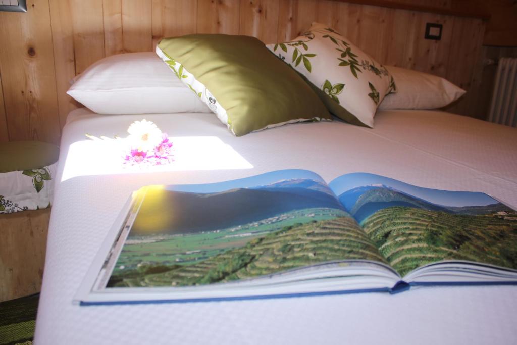 Postel nebo postele na pokoji v ubytování Agriturismo Antico Filare