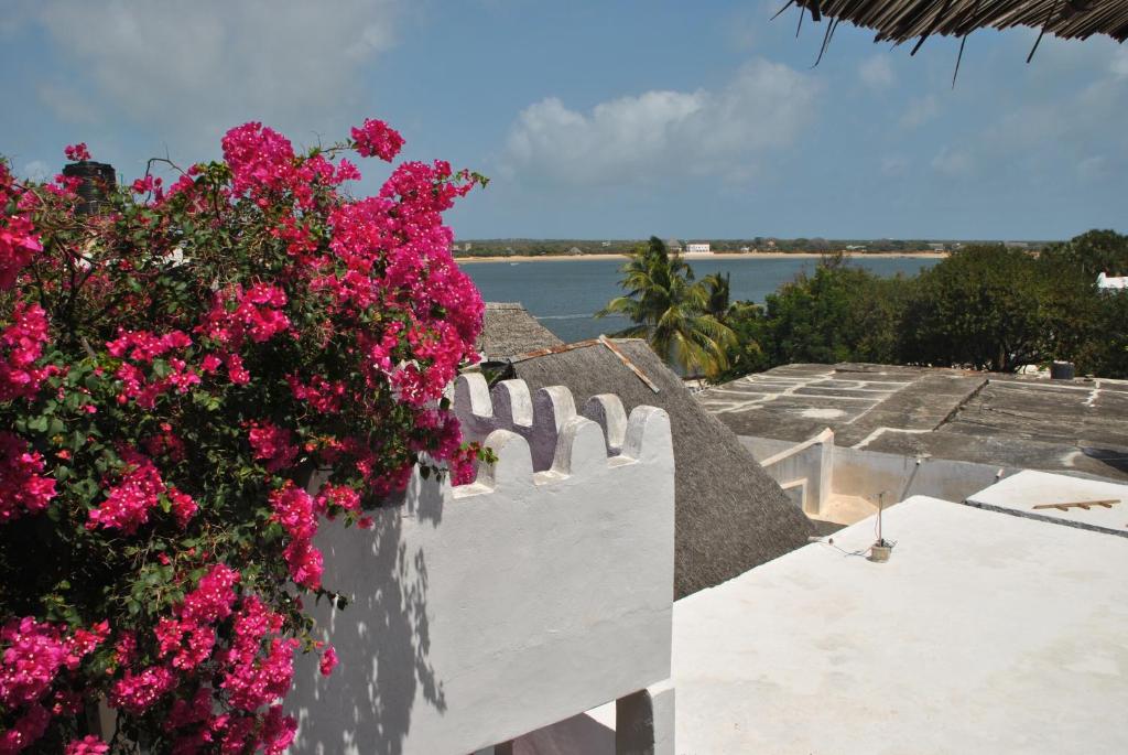 
a bird sitting on a ledge overlooking a beach at Shella White House in Lamu
