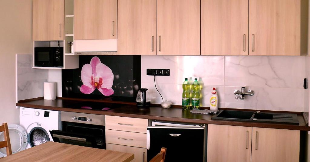 Kuchyň nebo kuchyňský kout v ubytování Apartmany De-Lu
