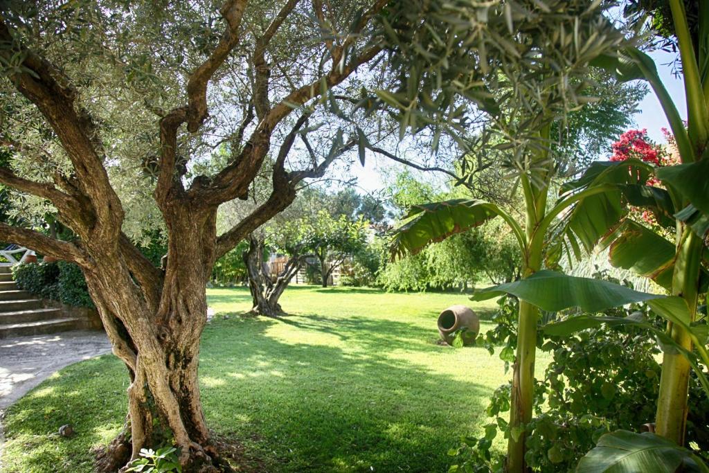 Zahrada ubytování Bastide Sainte Agnès