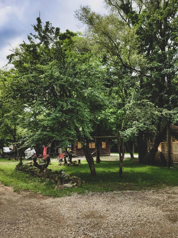 Příroda nedaleko apartmánu