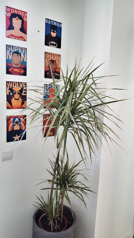 Disneyland cosy Apartment - 4